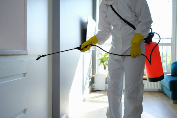Best Office Mold Removal Services  in Orland Hls, IL