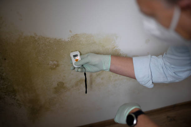 Water Damage Restoration in Orland Hills, IL
