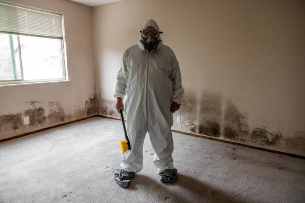 Best Mold Testing  in Orland Hls, IL